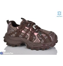 Кросівки жіночі на весну/осінь (6 пар р.36-40) коричневий  "TETRAST"