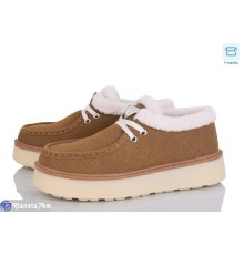 Туфлі жіночі на зиму (8 пар р.36-41) коричневий  "LAVLI"
