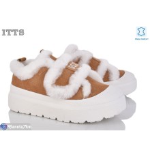 Кросівки жіночі на зиму (6 пар р.36-40) коричневий  "LOTOS"