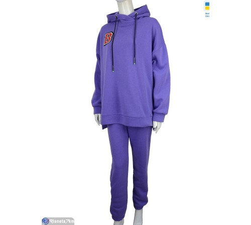 Спортивний костюм жіночий на весну/осінь (2 шт. р.сетка L-XL) фіолетовий  "Kalabok"