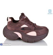 Кросівки жіночі на весну/осінь (6 пар р.36-41) коричневий  "TETRAST"