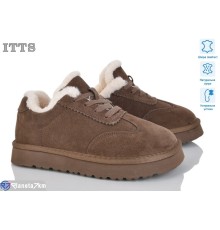 Кросівки жіночі на зиму (6 пар р.36-41) коричневий  "LOTOS"
