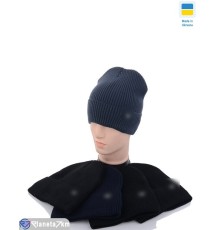 Шапка чоловіча на зиму (5 шт. р.сетка 56-60) мікс  "Angell"