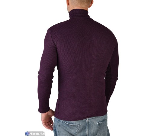 Гольф жіночий на весну/осінь (5 шт. р.сетка One size) фіолетовий  "Plato"