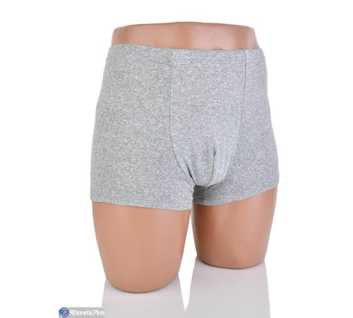 Труси чоловічі на весну/осінь (24 шт. р.сетка XL-4XL) мікс  "VERONIKA"