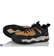 Кросівки на весну/осінь (8 пар р.36-41) camel  "Laifakids"