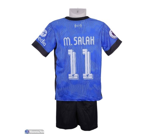 Дитячий спортивний костюм на літо (6 шт. р.сетка 104-176) синій  "FIESTA"