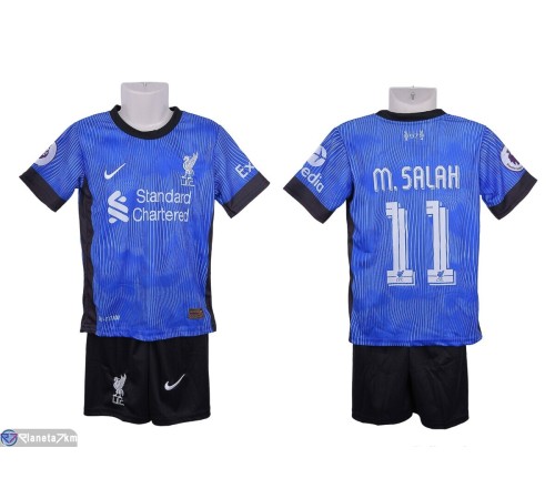 Дитячий спортивний костюм на літо (6 шт. р.сетка 104-176) синій  "FIESTA"