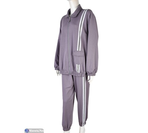 Спортивний костюм жіночий на весну/осінь (3 шт. р.сетка XL-3XL) сірий  "Mirella"