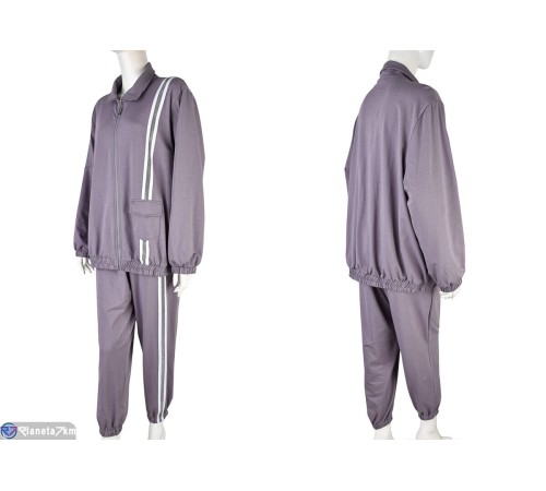 Спортивний костюм жіночий на весну/осінь (3 шт. р.сетка XL-3XL) сірий  "Mirella"