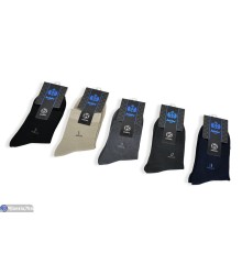 Шкарпетки чоловічі на весну/осінь (10 шт. р.сетка 41-47) мікс  "VERONIKA"