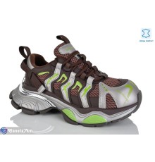 Кросівки жіночі на весну/осінь (6 пар р.36-41) коричневий  "TETRAST"