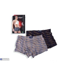 Труси чоловічі на весну/осінь (24 шт. р.сетка L-3XL) мікс  "VERONIKA"