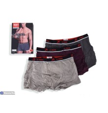 Труси чоловічі на весну/осінь (24 шт. р.сетка L-3XL) мікс  "VERONIKA"