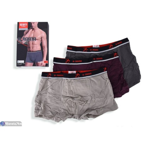 Труси чоловічі на весну/осінь (24 шт. р.сетка L-3XL) мікс  "VERONIKA"