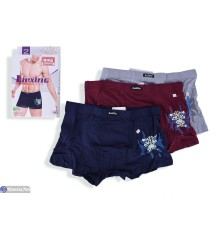 Труси чоловічі на весну/осінь (24 шт. р.сетка L-3XL) мікс  "VERONIKA"