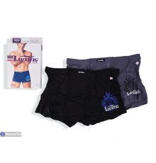 Труси чоловічі на весну/осінь (24 шт. р.сетка L-3XL) мікс  "VERONIKA"