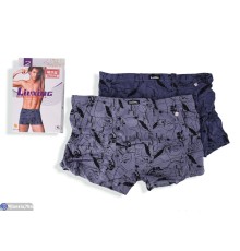 Труси чоловічі на весну/осінь (24 шт. р.сетка L-3XL) мікс  "VERONIKA"