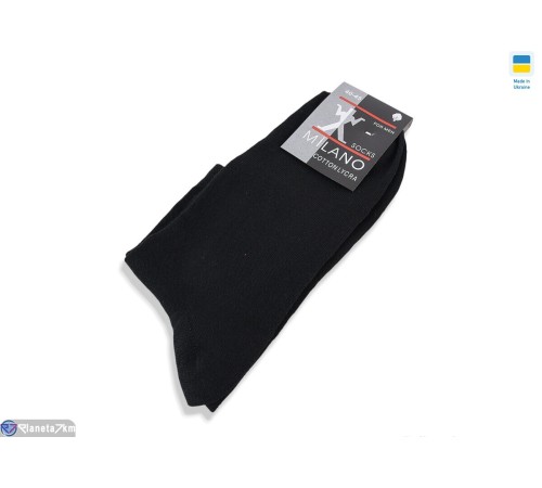 Шкарпетки чоловічі на весну/осінь (12 шт. р.сетка 40-45) чорний  "VERONIKA"