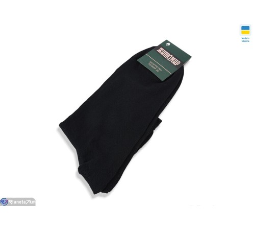 Шкарпетки чоловічі на весну/осінь (12 шт. р.сетка 43-44) чорний  "VERONIKA"