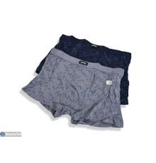 Труси чоловічі на весну/осінь (24 шт. р.сетка L-3XL) мікс  "VERONIKA"