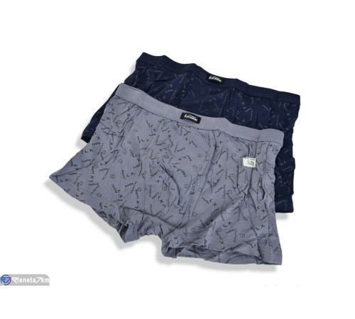 Труси чоловічі на весну/осінь (24 шт. р.сетка L-3XL) мікс  "VERONIKA"