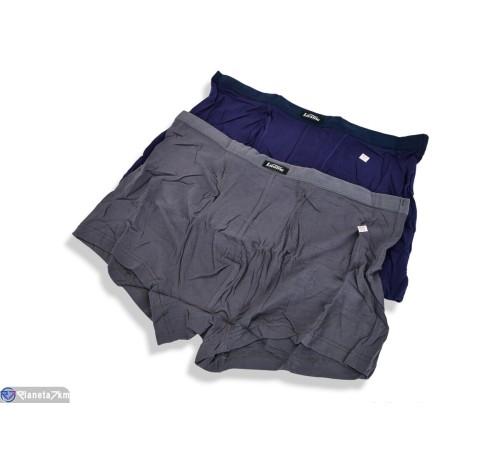 Труси чоловічі на весну/осінь (24 шт. р.сетка L-3XL) мікс  "VERONIKA"