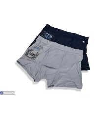 Труси чоловічі на весну/осінь (24 шт. р.сетка L-3XL) мікс  "VERONIKA"