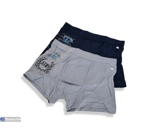 Труси чоловічі на весну/осінь (24 шт. р.сетка L-3XL) мікс  "VERONIKA"