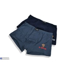 Труси чоловічі на весну/осінь (24 шт. р.сетка L-3XL) мікс  "VERONIKA"