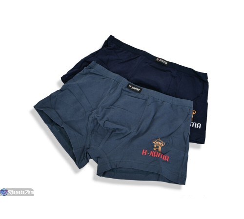 Труси чоловічі на весну/осінь (24 шт. р.сетка L-3XL) мікс  "VERONIKA"