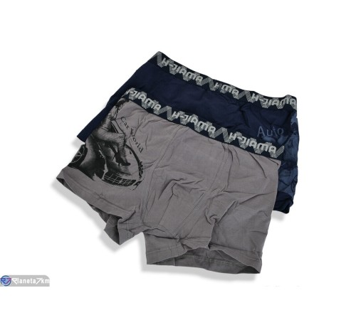 Труси чоловічі на весну/осінь (24 шт. р.сетка L-3XL) мікс  "VERONIKA"