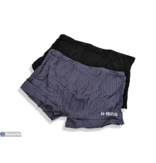 Труси чоловічі на весну/осінь (24 шт. р.сетка L-3XL) мікс  "VERONIKA"