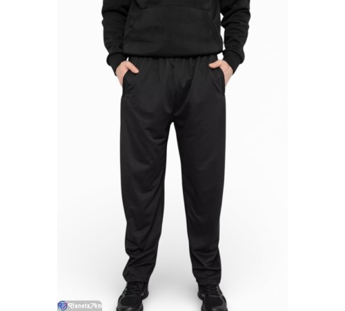 Чоловічі спортивні штани на весну/осінь (6 шт. р.сетка 4XL-9XL) мікс  "Masari"