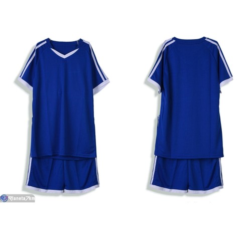 Дитячий спортивний костюм на літо (6 шт. р.сетка 26-XL) синій  "FIESTA"