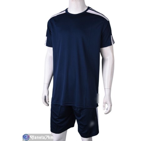 Спортивний костюм чоловічий на літо (6 шт. р.сетка S-2XL) синій  "FIESTA"