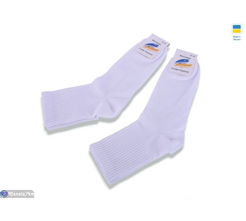 Шкарпетки чоловічі на весну/осінь (12 шт. р.сетка 41-44) білий  "VERONIKA"