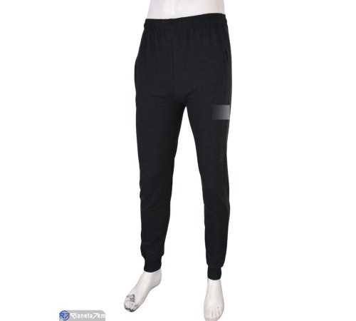 Чоловічі спортивні штани на весну/осінь (5 шт. р.сетка 46-54) сірий  "Danko"