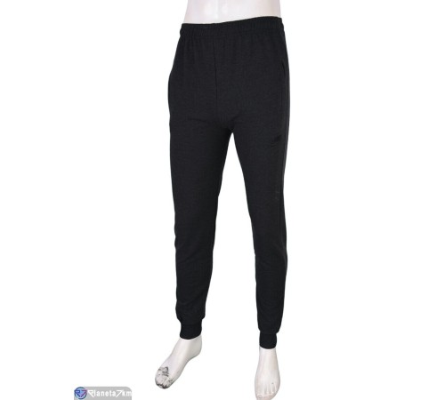 Чоловічі спортивні штани на весну/осінь (5 шт. р.сетка 46-54) сірий  "Danko"