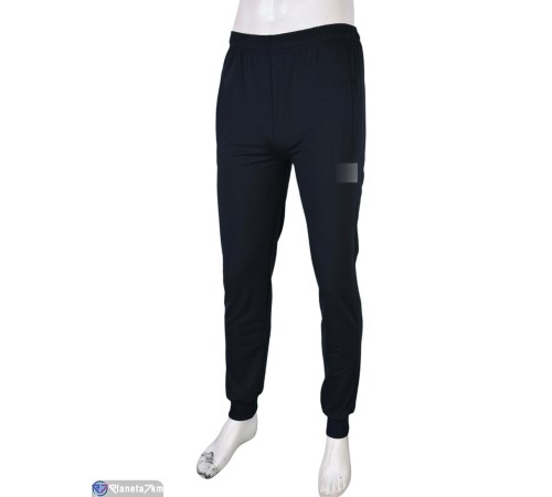 Чоловічі спортивні штани на весну/осінь (5 шт. р.сетка 46-54) сірий  "Danko"