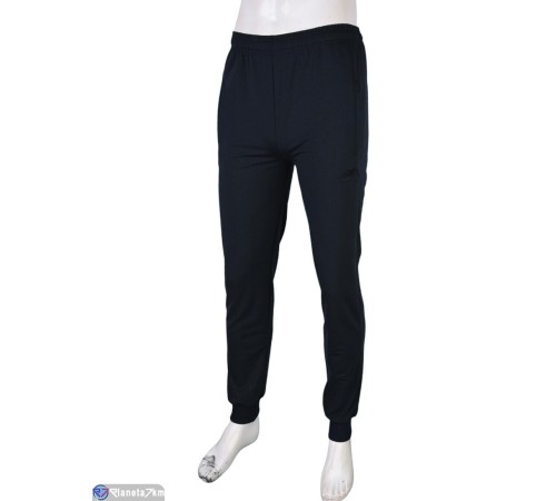 Чоловічі спортивні штани на весну/осінь (5 шт. р.сетка 46-54) сірий  "Danko"