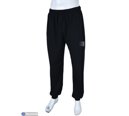 Чоловічі спортивні штани на весну/осінь (5 шт. р.сетка 56-64) чорний  "Danko"