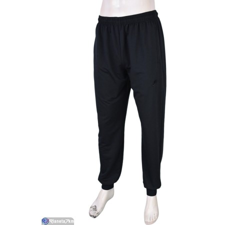 Чоловічі спортивні штани на весну/осінь (5 шт. р.сетка 50-58) синій  "Danko"