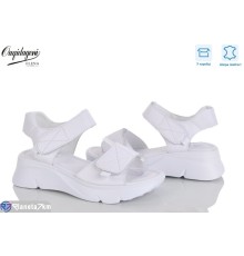 Босоніжки жіночі на літо (8 пар р.36-41) білий  "Dageni"