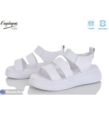 Босоніжки жіночі на літо (8 пар р.36-41) білий  "Dageni"