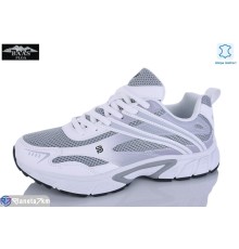 Кросівки жіночі на весну/осінь (8 пар р.36-41) сірий  "Baas"