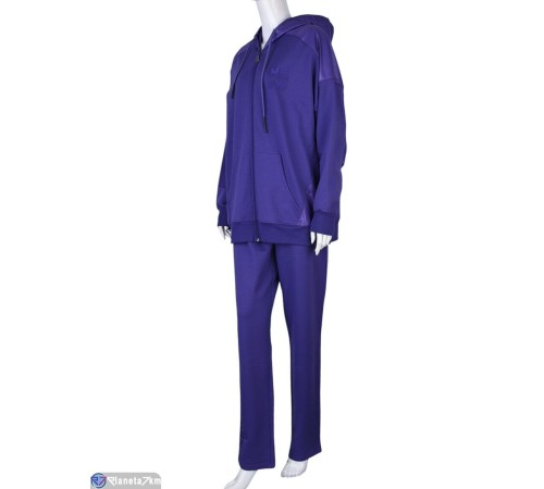 Спортивний костюм жіночий на весну/осінь (4 шт. р.сетка L-3XL) фіолетовий  "DOMINGO"