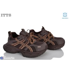 Кросівки жіночі на весну/осінь (6 пар р.36-41) коричневий  "LOTOS"