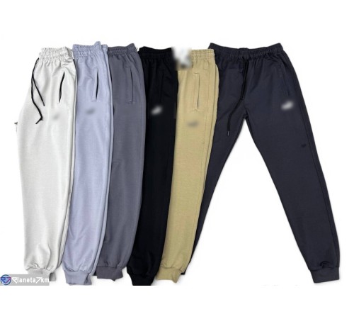 Чоловічі спортивні штани на весну/осінь (5 шт. р.сетка 46-54) мікс  "Peton"