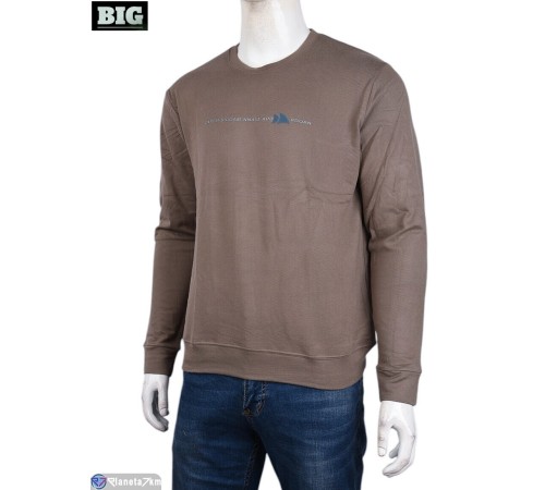Кофта чоловіча на зиму (5 шт. р.сетка XL-5XL) коричневий "BIG" Кофта чоловіча на зиму (5 шт. р.сетка XL-5XL) коричневий "BIG"